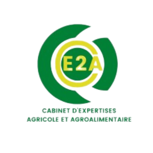 Logo CE2A - accompagné par l'Incubateur digital BENSEARCH SOLUTIONS LAB - https://www.bensearch-solutions.com/incubateur/