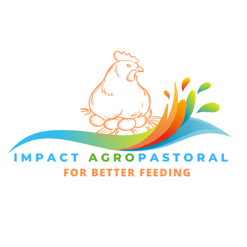 Logo société Impact Agropastoral - Accompagné par l'Incubateur digital BENSEARCH SOLUTIONS LAB - https://www.bensearch-solutions.com/incubateur/